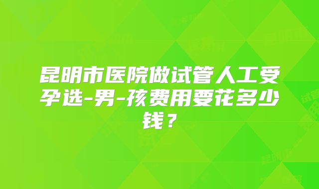 昆明市医院做试管人工受孕选-男-孩费用要花多少钱？