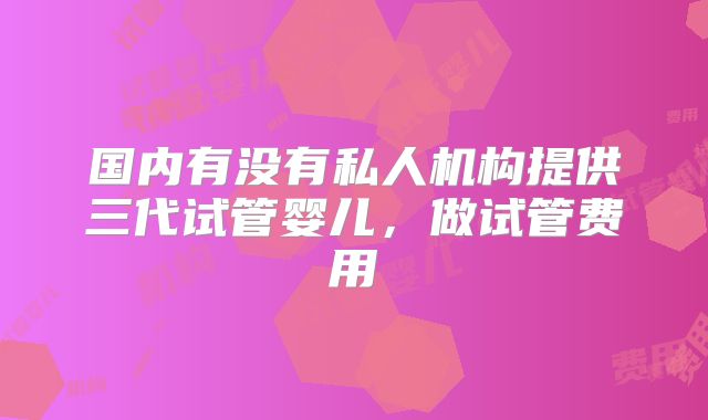 国内有没有私人机构提供三代试管婴儿，做试管费用
