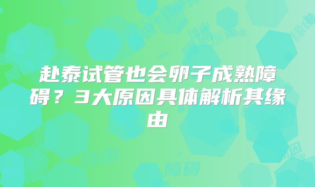 赴泰试管也会卵子成熟障碍？3大原因具体解析其缘由