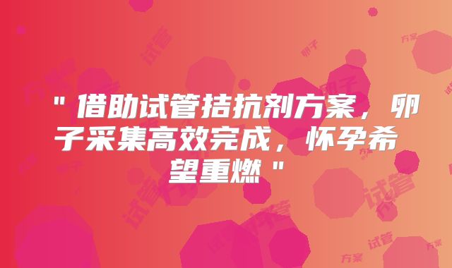 ＂借助试管拮抗剂方案，卵子采集高效完成，怀孕希望重燃＂
