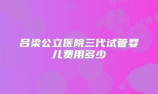 吕梁公立医院三代试管婴儿费用多少