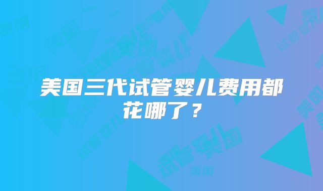 美国三代试管婴儿费用都花哪了？