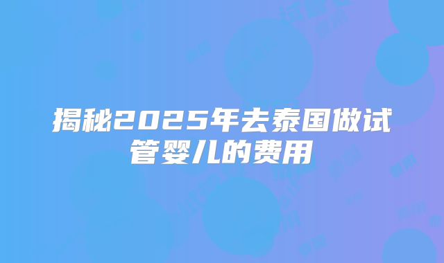 揭秘2025年去泰国做试管婴儿的费用