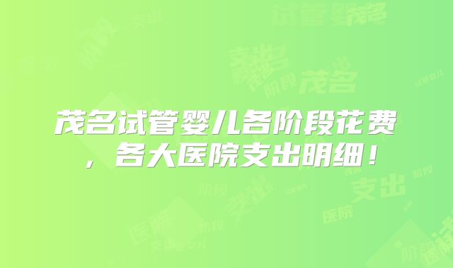 茂名试管婴儿各阶段花费,各大医院支出明细!