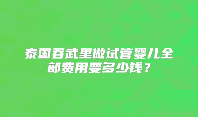 泰国吞武里做试管婴儿全部费用要多少钱？