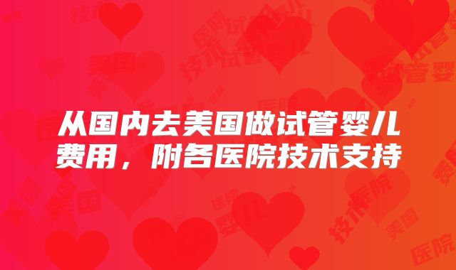 从国内去美国做试管婴儿费用，附各医院技术支持