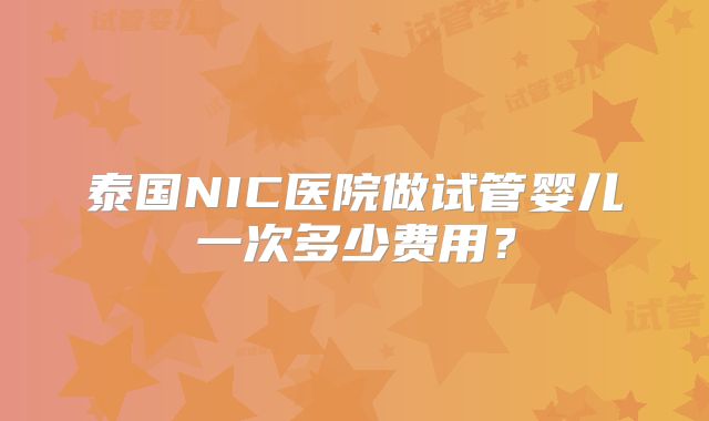 泰国NIC医院做试管婴儿一次多少费用？