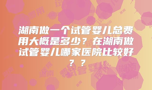 湖南做一个试管婴儿总费用大概是多少?在湖南做试管婴儿哪家医院比较好??