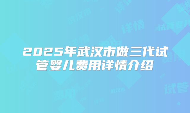 2025年武汉市做三代试管婴儿费用详情介绍