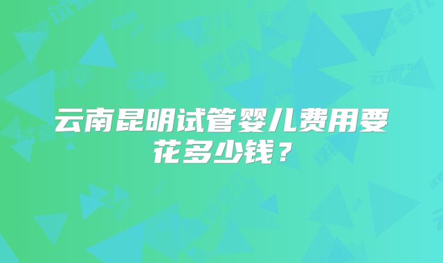 云南昆明试管婴儿费用要花多少钱？