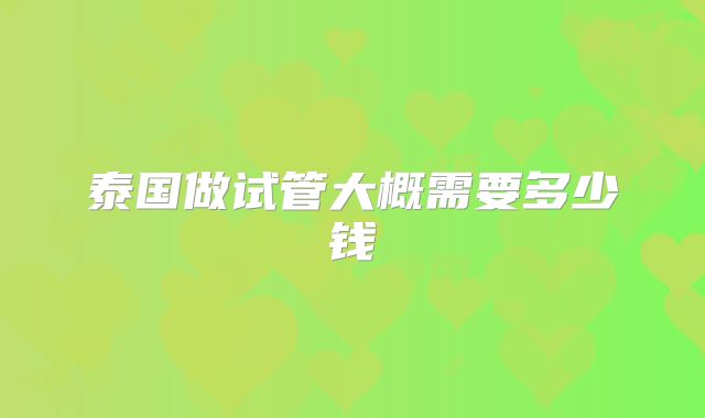 泰国做试管大概需要多少钱