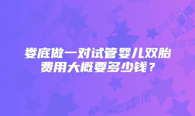 娄底做一对试管婴儿双胎费用大概要多少钱?