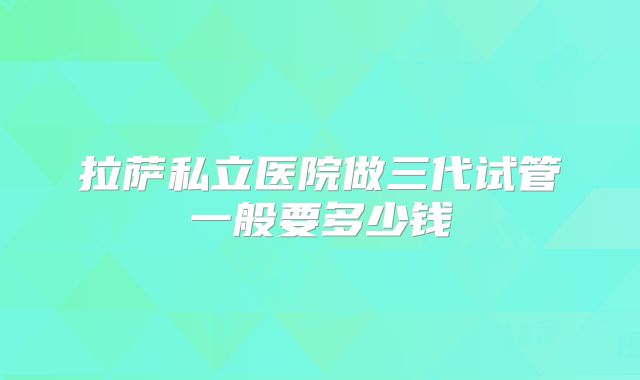 拉萨私立医院做三代试管一般要多少钱