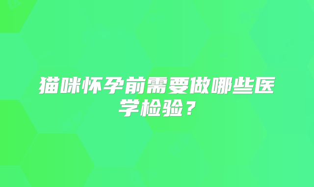 猫咪怀孕前需要做哪些医学检验？