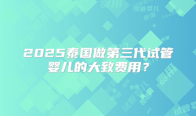 2025泰国做第三代试管婴儿的大致费用？