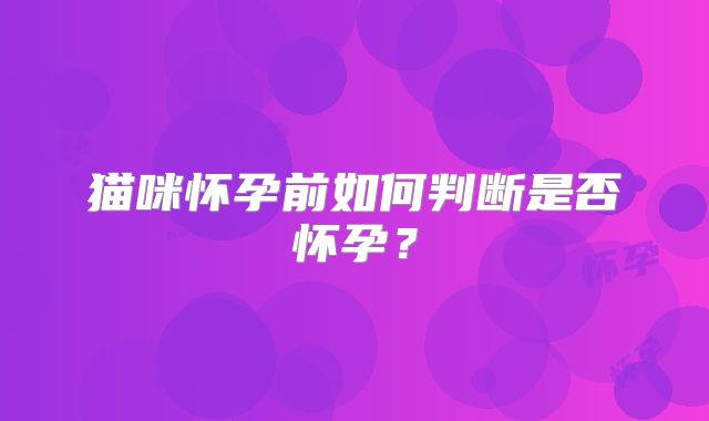 猫咪怀孕前如何判断是否怀孕？