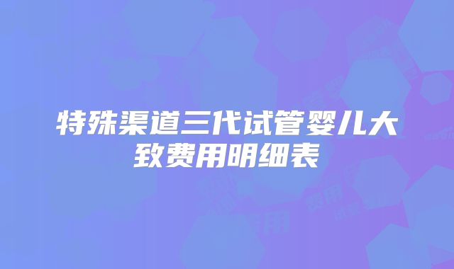 特殊渠道三代试管婴儿大致费用明细表