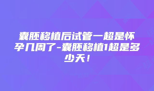 囊胚移植后试管一超是怀孕几周了-囊胚移植1超是多少天！