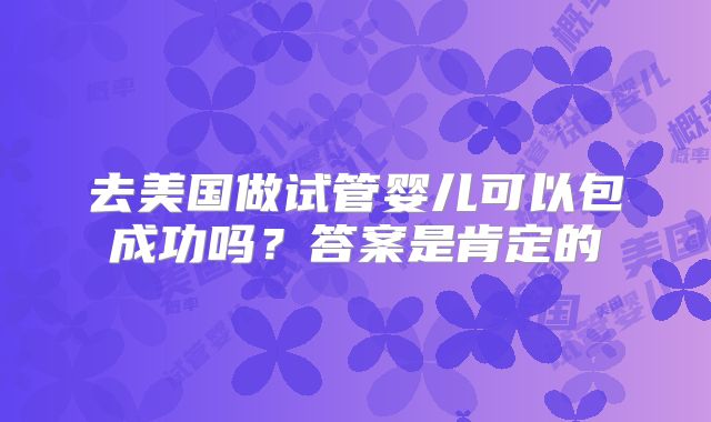 去美国做试管婴儿可以包成功吗？答案是肯定的
