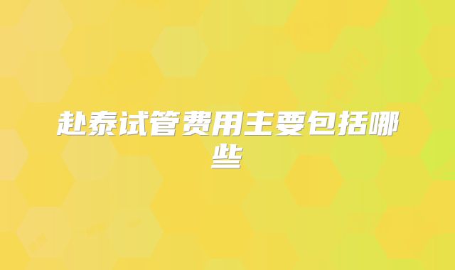 赴泰试管费用主要包括哪些