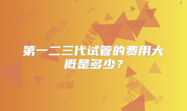 第一二三代试管的费用大概是多少？