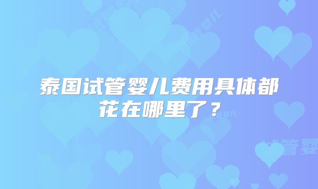 泰国试管婴儿费用具体都花在哪里了？