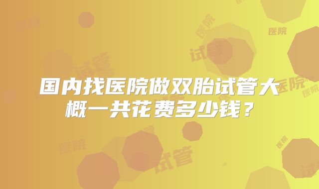 国内找医院做双胎试管大概一共花费多少钱？