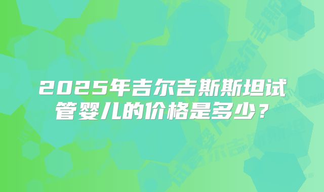 2025年吉尔吉斯斯坦试管婴儿的价格是多少？