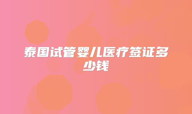 泰国试管婴儿医疗签证多少钱