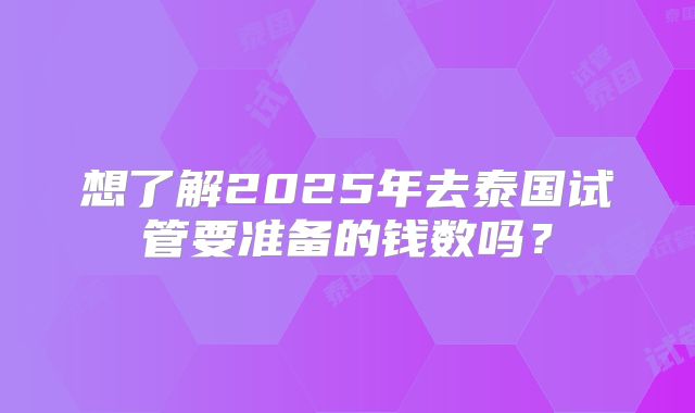 想了解2025年去泰国试管要准备的钱数吗？