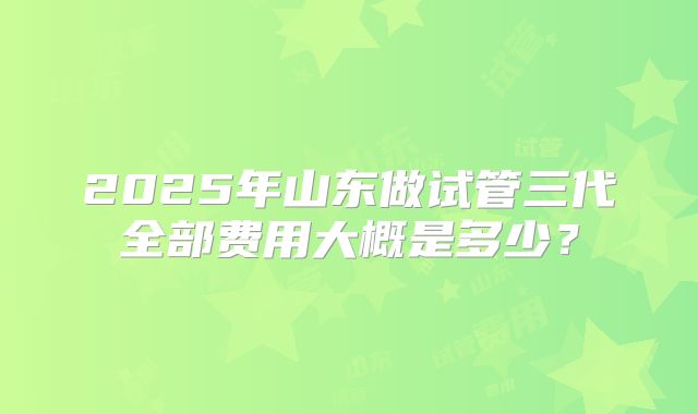 2025年山东做试管三代全部费用大概是多少？