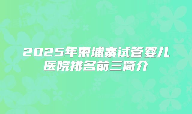 2025年柬埔寨试管婴儿医院排名前三简介