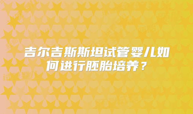 吉尔吉斯斯坦试管婴儿如何进行胚胎培养？