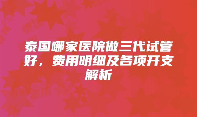 泰国哪家医院做三代试管好，费用明细及各项开支解析