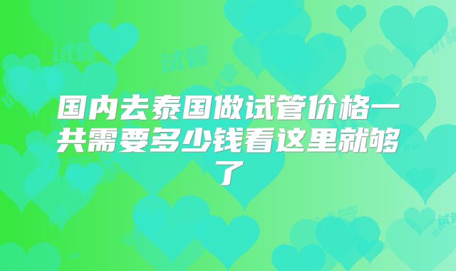 国内去泰国做试管价格一共需要多少钱看这里就够了