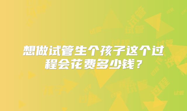 想做试管生个孩子这个过程会花费多少钱？