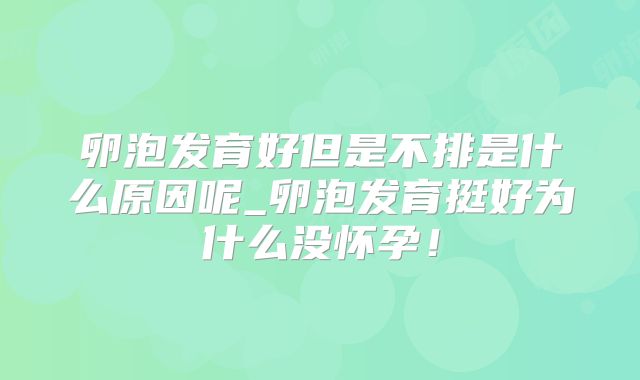 卵泡发育好但是不排是什么原因呢_卵泡发育挺好为什么没怀孕!
