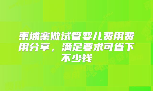 柬埔寨做试管婴儿费用费用分享，满足要求可省下不少钱