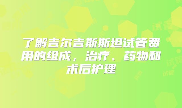 了解吉尔吉斯斯坦试管费用的组成,治疗、药物和术后护理