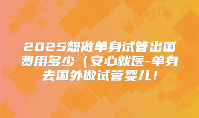 2025想做单身试管出国费用多少（安心就医-单身去国外做试管婴儿！