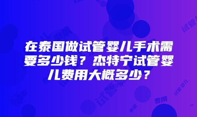 在泰国做试管婴儿手术需要多少钱？杰特宁试管婴儿费用大概多少？