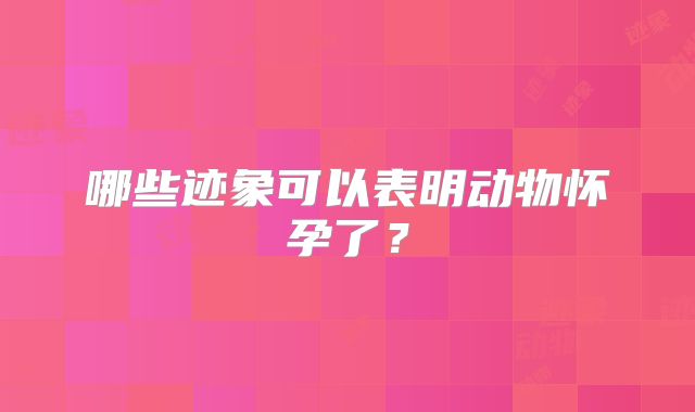 哪些迹象可以表明动物怀孕了?