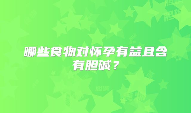 哪些食物对怀孕有益且含有胆碱？