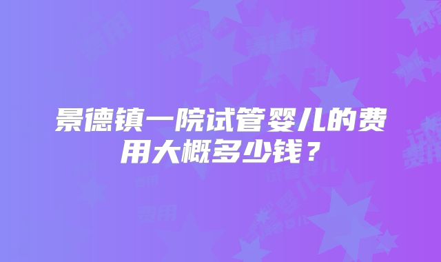 景德镇一院试管婴儿的费用大概多少钱?