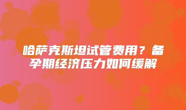 哈萨克斯坦试管费用？备孕期经济压力如何缓解