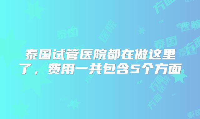泰国试管医院都在做这里了，费用一共包含5个方面