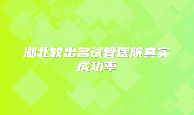 湖北较出名试管医院真实成功率