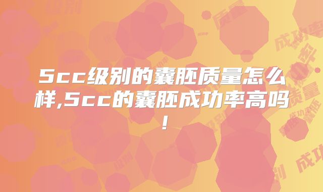 5cc级别的囊胚质量怎么样,5cc的囊胚成功率高吗！