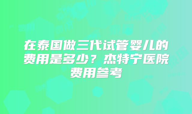 在泰国做三代试管婴儿的费用是多少？杰特宁医院费用参考