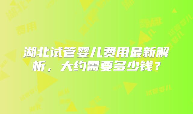 湖北试管婴儿费用最新解析，大约需要多少钱？